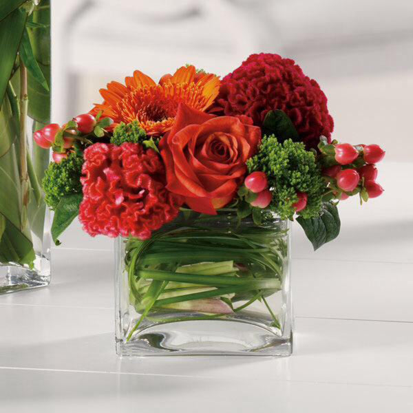 Celosia arrangement