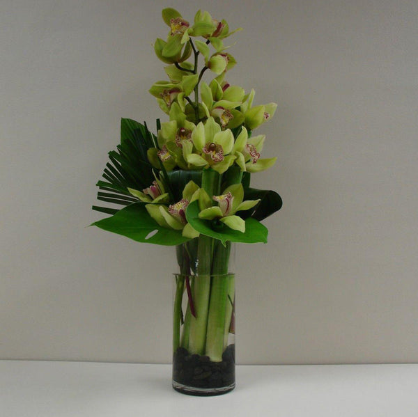 Cymbidium in a vase