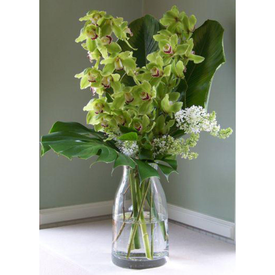 Orchid Cymbidium in a vase