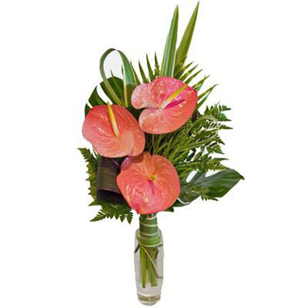 3 Anthurium in the vase