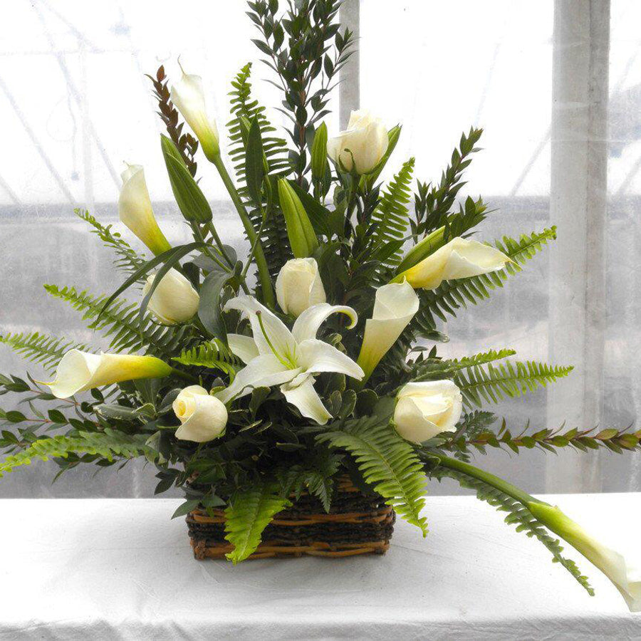 White Calla Arrangement